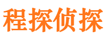 镇沅市私家侦探